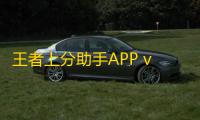 王者上分助手APP v1.15